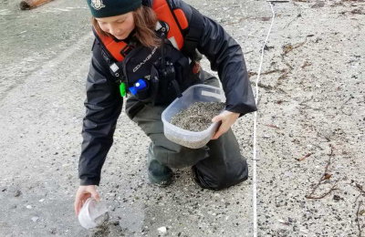 A Parks Canada staff kneels on grey sand while scoop sediment with a small plastic container and placing it in a larger plastic container.