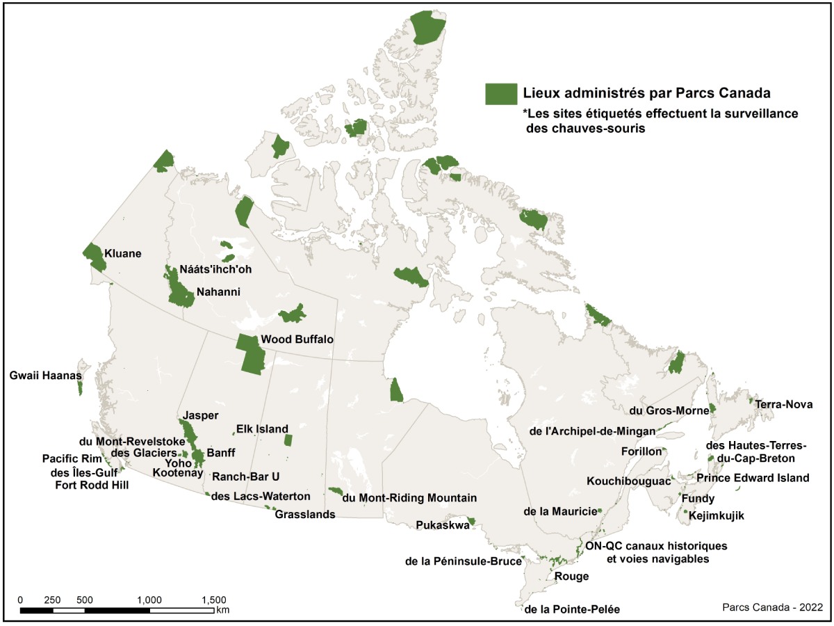 Une carte du Canada montrant les lieux gérés par Parcs Canada qui effectuent des travaux de surveillance des chauves-souris, représentés par des polygones verts avec des étiquettes de site.