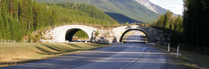 Un pont de pierre avec une surface de déplacement végétalisée chevauchant une autoroute à quatre voies.]