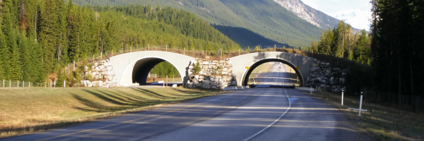 A stone bridge with a vegetated travelling surface spanning a four-lane highway.