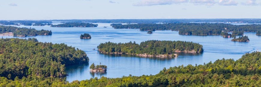 An aerial view of forested islets.