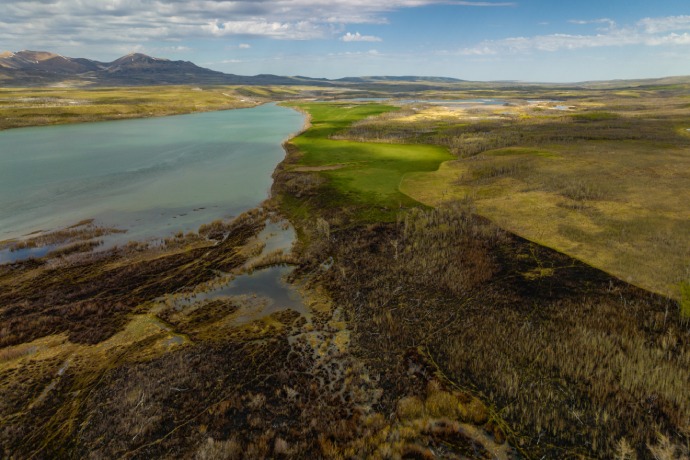 An aerial view of a patch of land after a prescribed fire next to an untreated area. 