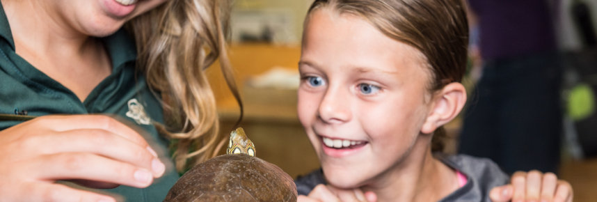 A Parks Canada employee shows a painted turtle to a young girl.