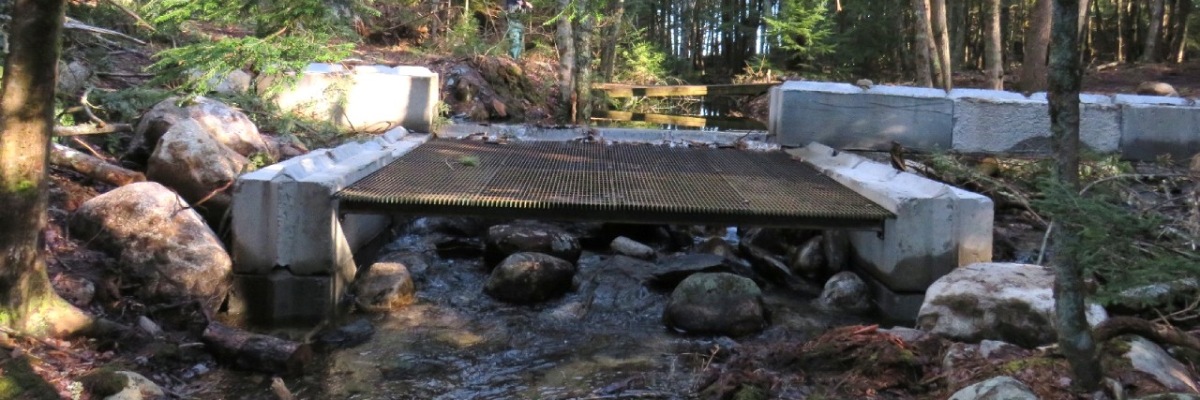 A large metal grate supported by two cement structures lays over a river in a forest.