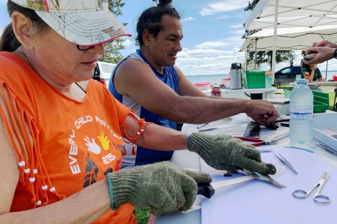 Les membres de la communauté autochtone et le personnel de Parcs Canada utilisent divers outils pour disséquer et mesurer le poisson.