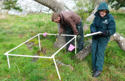One Parks Canada staff uses a quadrat to count vegetation in a small area while another staff member records the data on a clipboard.
