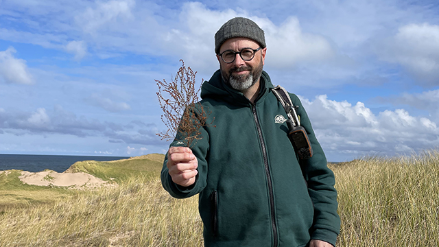 A Parks Canada employee stands in a grass field, holding a sprig of pinweed. He is wearing a Parks uniform of green sweater and tan pants. The sky is blue and cloudy behind him.