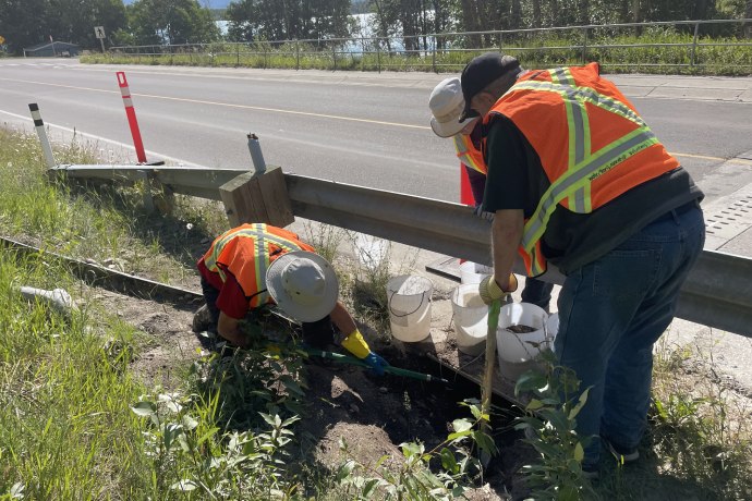 A person reaches into a hole that is under a roadway using a long pole. Two others stand near, one is also holding a pole.