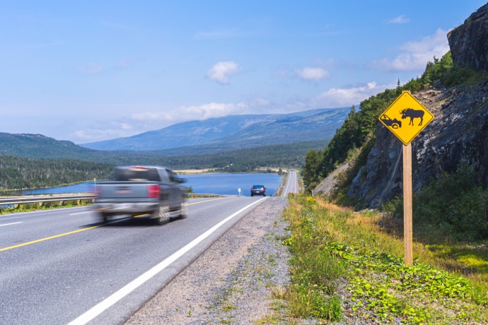A truck and a car drive fast on a highway. A yellow road sign cautions them about moose collisions.