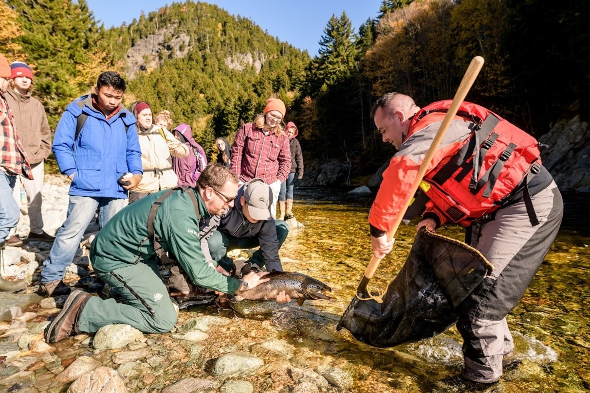 A group watches two people handling a large fish near a riverbank. One person holds a net.