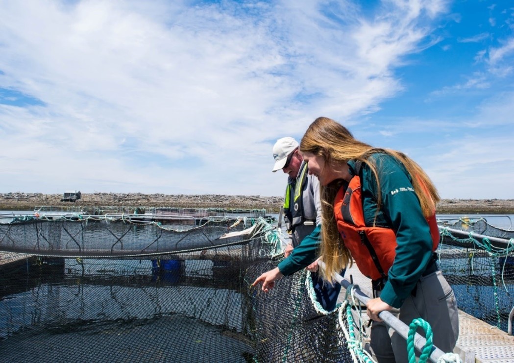 Two people in life jackets and outdoor gear lean over a platform to observe a fish farming net in the water