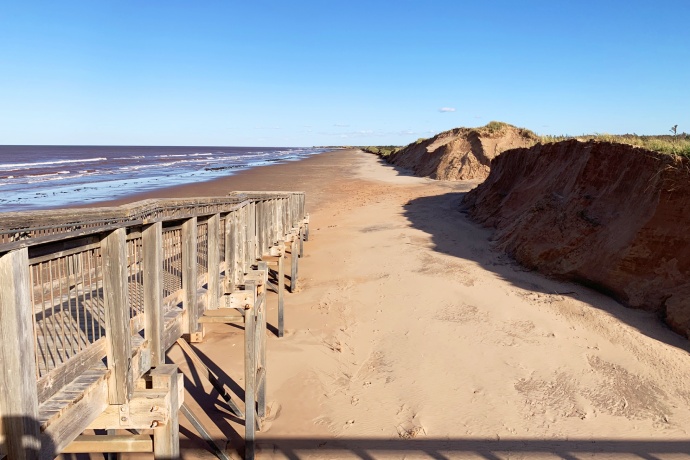 A wooden boardwalk along sand dunes covered with long grass and ocean in the background. The sand dunes cover around one-fifth of the image.