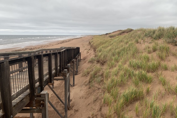 Une promenade en bois le long de dunes de sables couvertes de longues herbes avec la mer au loin. Les dunes de sables occupent la moitié droite de l'image.