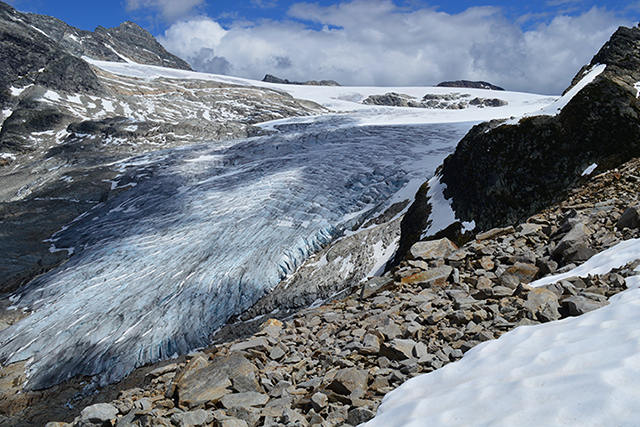 Une vue panoramique du glacier Illecillewaet avec sa vaste couche de glace descendant une pente montagneuse. Le glacier est partiellement recouvert de neige, avec de profondes crevasses marquant sa surface.
