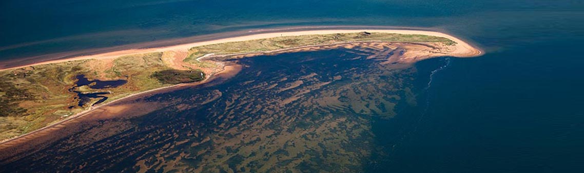 An aerial view of the dunes in Pituamkek. 