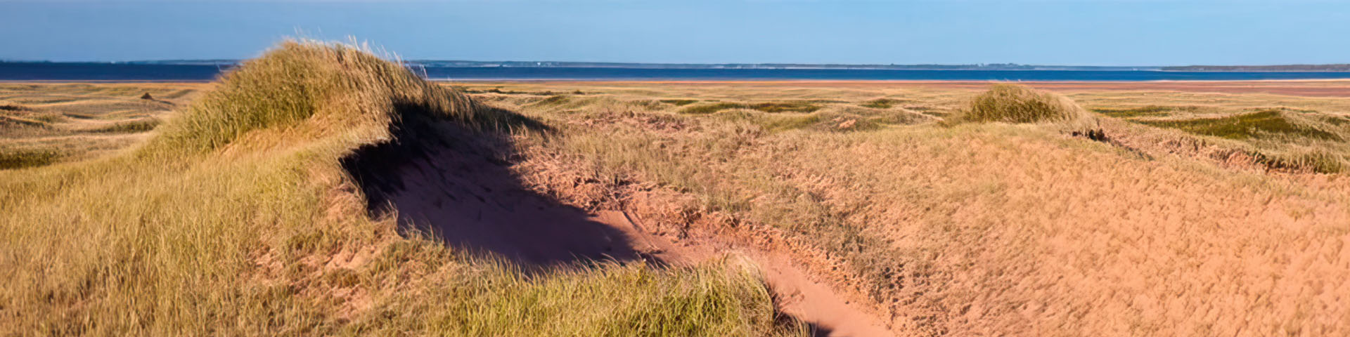 Vue des dunes herbeuses qui forment un pic sur le côté gauche de l’image. L’eau bleue se voit à l’horizon.