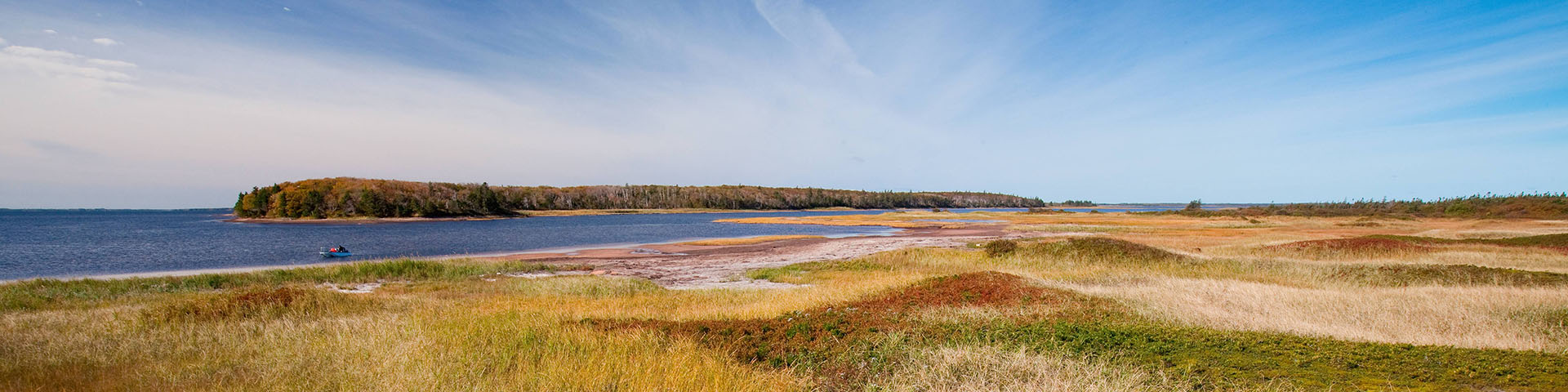 The grass dunes consisting of green, yellow, red, and beige coloured foliage. A body of water and the shoreline is on the top left of the image.    