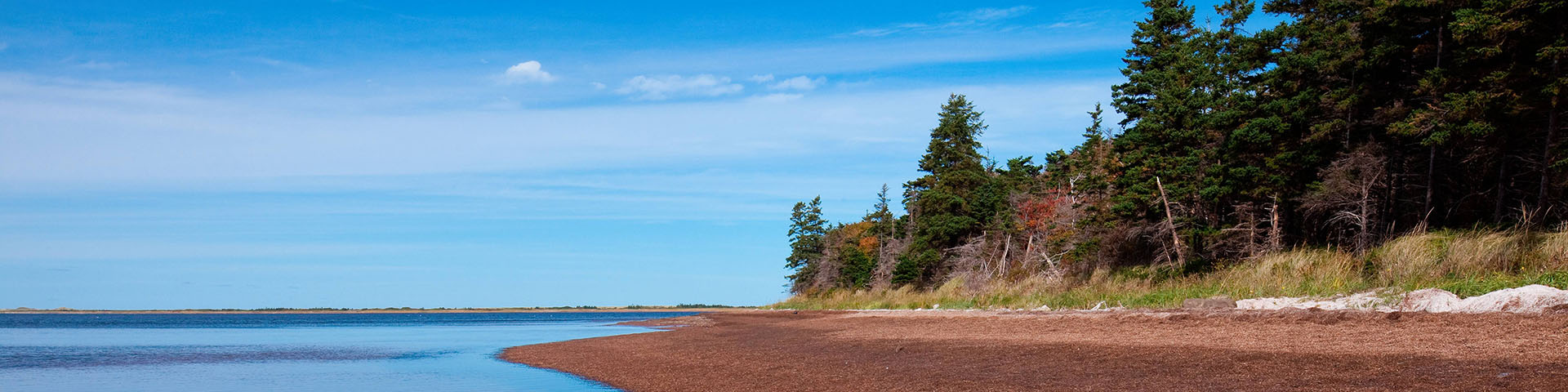 A view of Pituamkek’s shoreline on a sunny day with blue skies. 