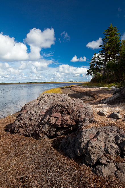 Photo of Iron Rock in Pituamkek. Iron Rock is Prince Edward Island’s only igneous rock formation. A body of water it to its left, and trees are to its right. 