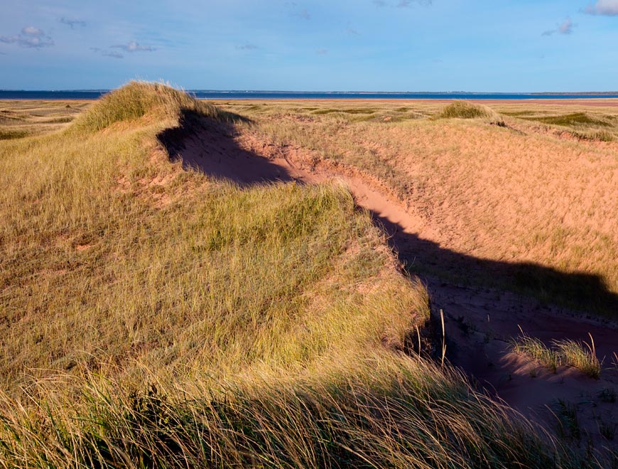 A view of grass dunes that form a peak on the left side of the image. Blue water can be seen on the horizon line. 