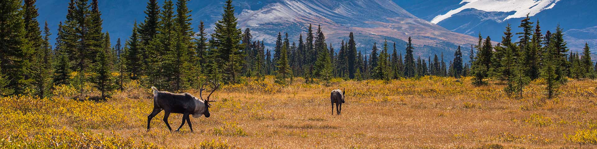 tourism and recreation in the interior plains