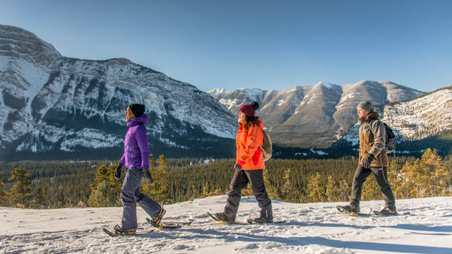 glacier tour canada