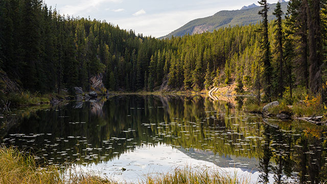 tourism jasper logo