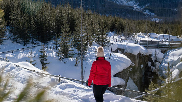 glacier tour canada