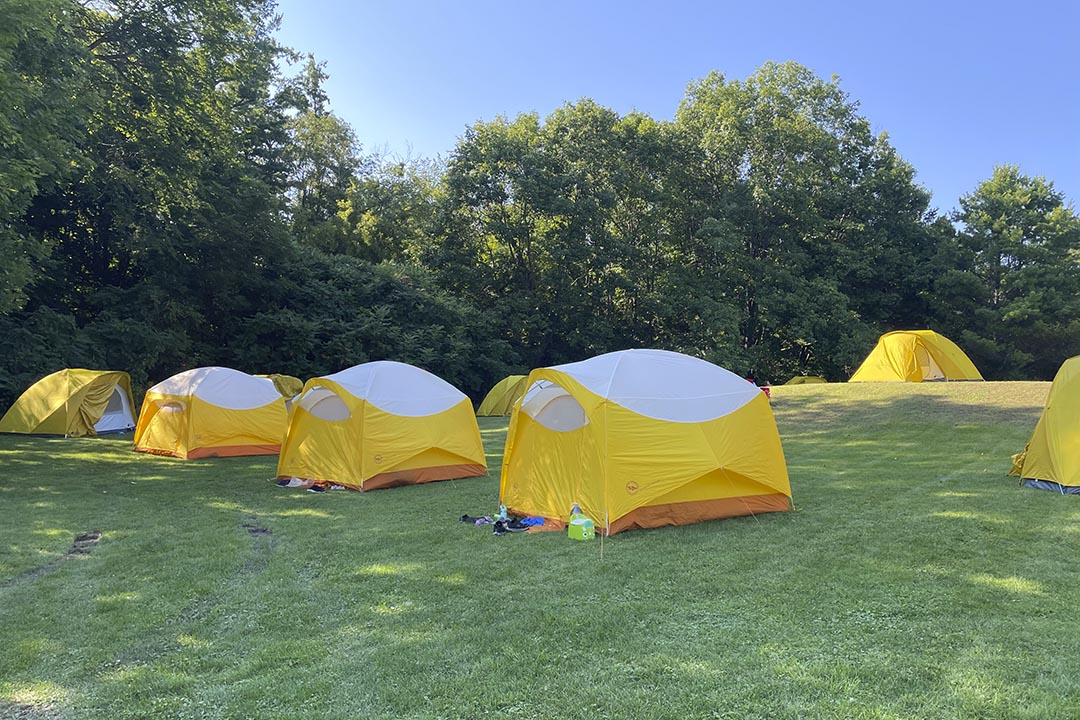 Eight yellow tents in a field.