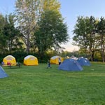 Four yellow and blue tents in a field.