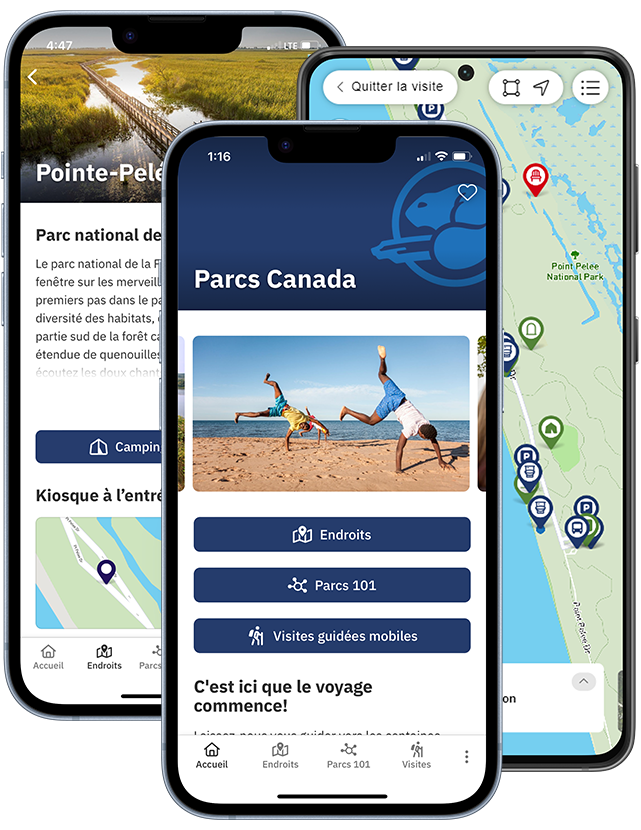 Trois téléphones portables avec l'application Parcs Canada affichée sur leurs écrans. Le premier écran montre des boutons de navigation et une photo brillante, le deuxième montre une carte avec des épingles de localisation, le troisième montre un écran rempli de texte.