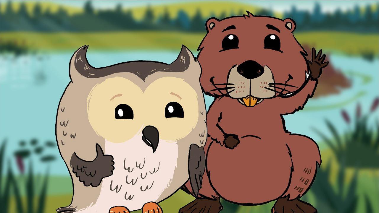 Illustration de Sam le grand-duc faisant un pouce levé et d’un castor saluant.