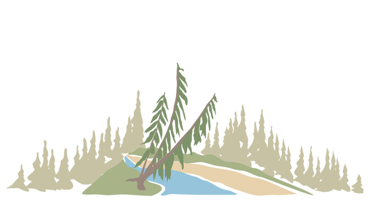 Illustration d’arbres persistants penchés au-dessus d’une rivière bleue.