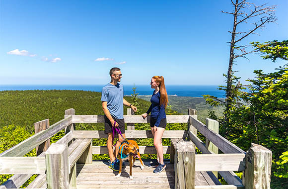 A couple enjoys the view at Forillon National Park with their dog. 