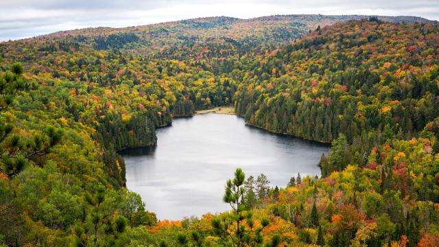 A view from a lookout over a lake on a cloudy day, with fall colours in La Mauricie.