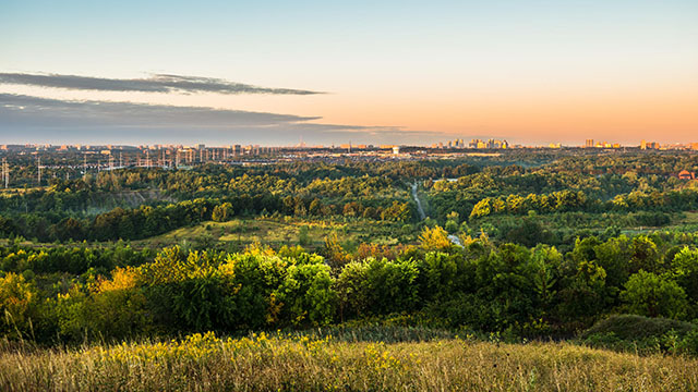 Green foliage and a sunset with the skyline of Toronto in the background in Rouge.