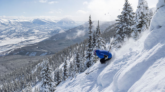 A person in a blue winter coat downhill skis down a snowy mountain on a winter day in Jasper.