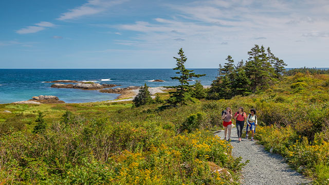 Three people hiking on a trail lined with shrubs with the blue sea in the background on a summer day at Kejimkujik Seaside.