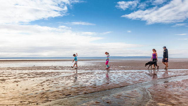 A family walking on a beach with their dog at Alma Beach in Fundy National Park.