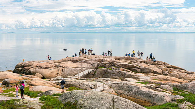 Visitors observing a whale while sitting on rocky terrain on a sunny day with clouds at Cap-de-Bon-Désir in Saguenay–St. Lawrence Marine Park.
