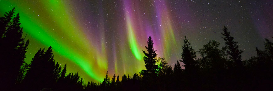 Colourful northern lights in the night sky over the forest.