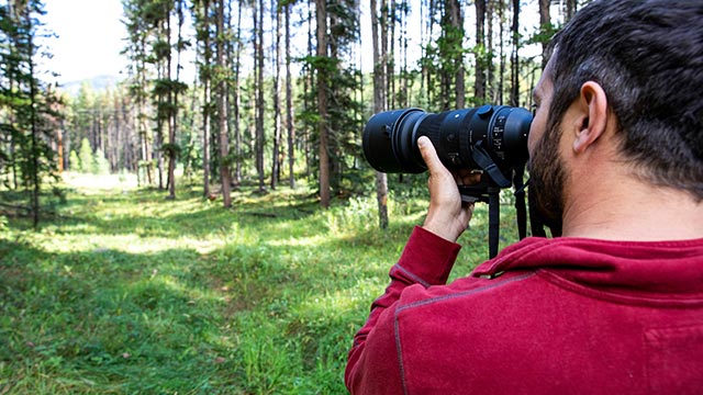 A man holding a telephoto lens takes a photo of a grassy, green forest in Banff.