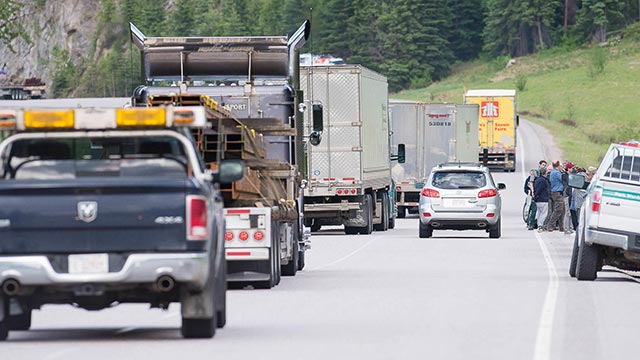 A pile up of cars due to a “wildlife jam” started from people pulling over and stopping on the side of the road to unsafely look at wildlife.