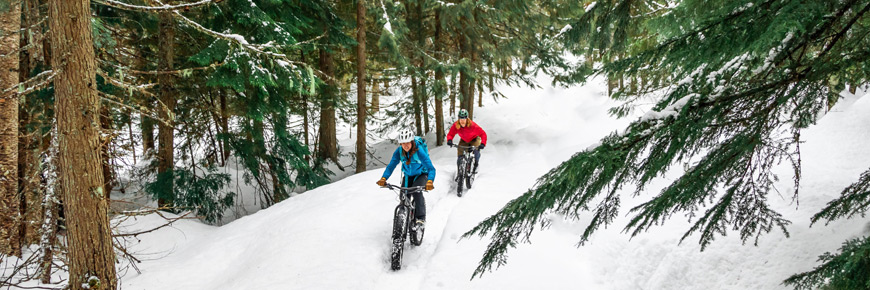 Two visitors ride fat bikes in the forest.