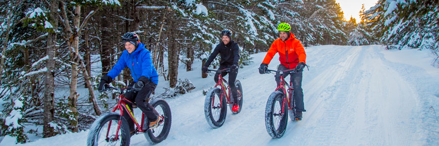 Des visiteurs font du vélo à pneus surdimensionnés dans la forêt du parc national Fundy.