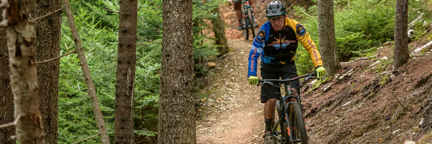 Two cyclists are mountain biking on a forest trail.