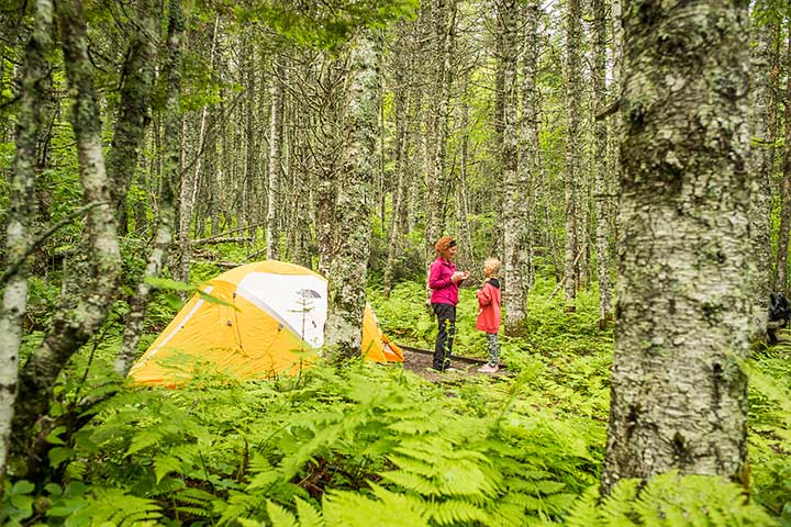 A family camping on Île du Havre, in the boreal forest. Mingan Archipelago National Park Reserve 