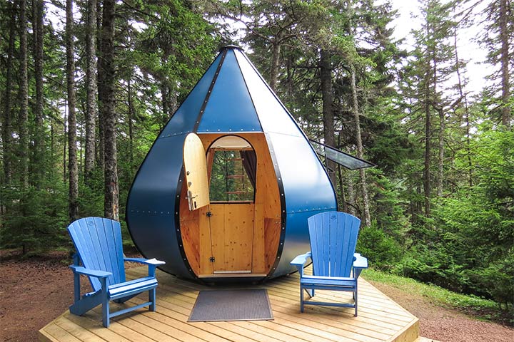 An Ôasis in the forest of Fundy National Park.