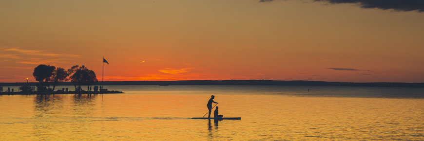 A visitor paddle boarding at sunset on Clear lake.