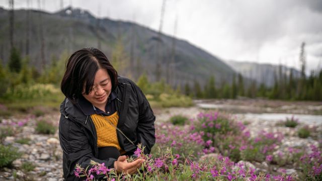 A woman looks at wildflowers along the riverbank near Vermilion Crossing Day-use Area in Kootenay.